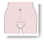 23.gif