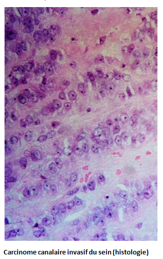 photo8.gif