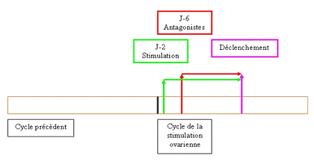 P11.gif