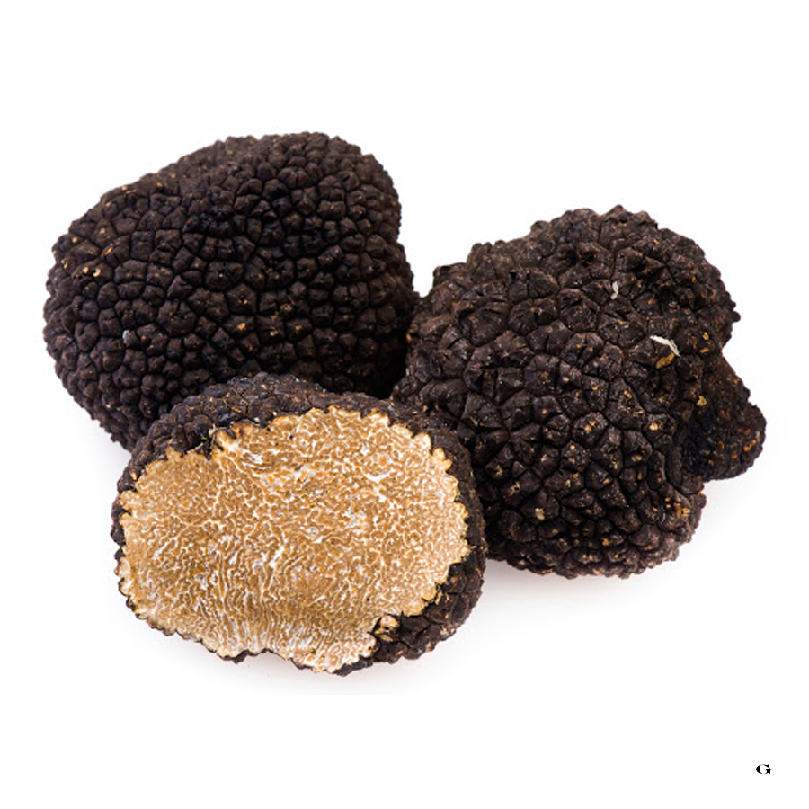 Tartufo nero estivo “Tuber Aestivum” - 1 Kg