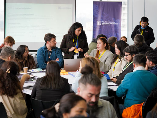 La Araucanía construye su política de turismo desde los territorios: IDER-UFRO ejecuta el primer taller participativo de la Fase 1