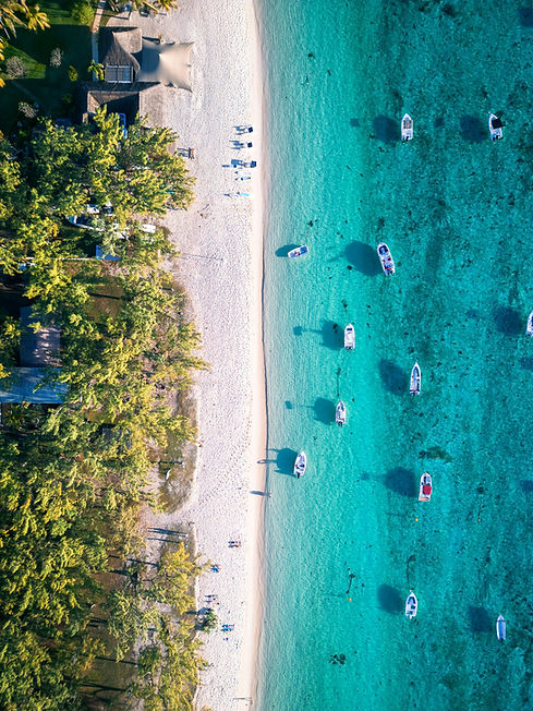 tobias-reich-bS6bgSp1f64-unsplash.jpg