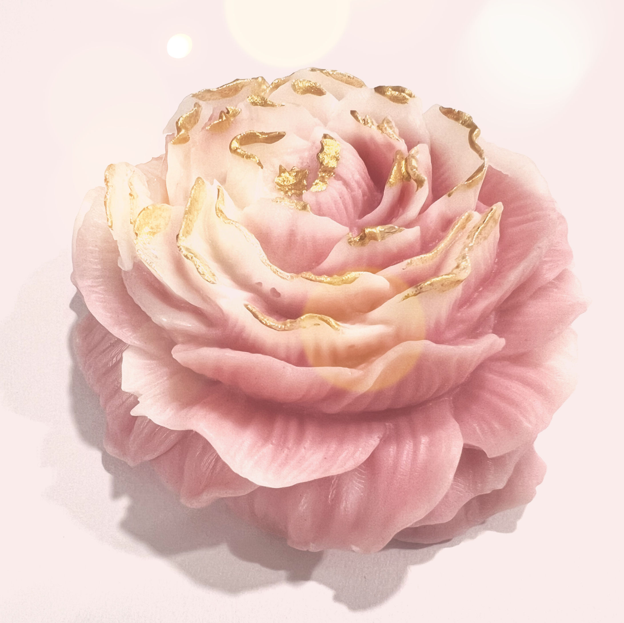 Roses for Everyone Bar