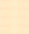Papier Background.jpg