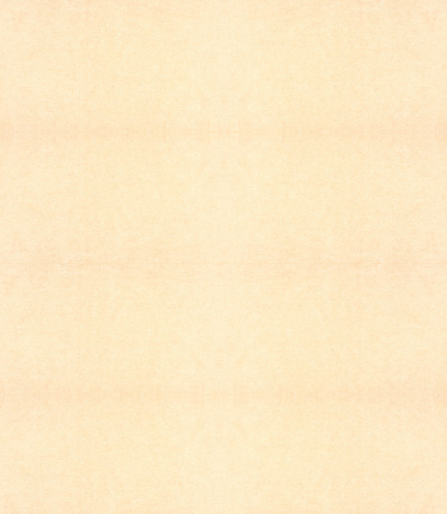 Papier%20Background_edited.jpg