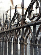 IMG_2227.jpeg