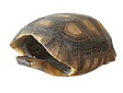 Yawati Kara.png