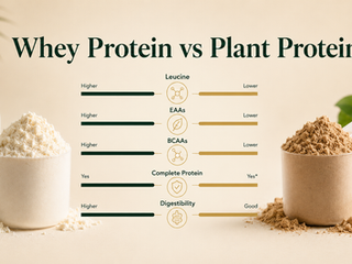 Whey Protein vs Plant Protein Powders. Is One Really Better?