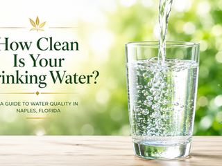 How Clean Is Naples Drinking Water, How can I Test, and What Water Filter is Best