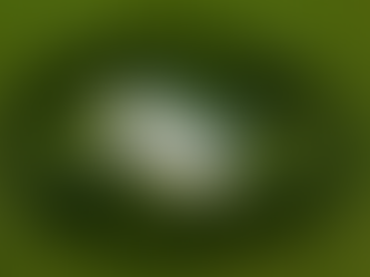 insurance company scams members by neglecting to cover functional medicine treatments