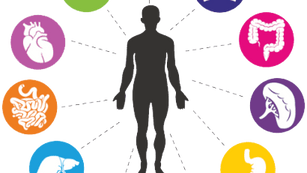 Functional Medicine near me at Harmony Health Clinic in Naples FL