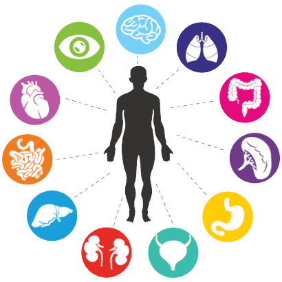 Functional Medicine near me at Harmony Health Clinic in Naples FL
