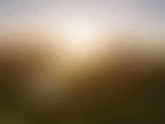 ozone joint injection therapy in naples fl for knee, shoulder, and hip joint pains.