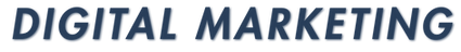 Vizable Logo (6).png