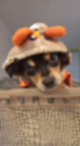 Turron_1_Edited.jpeg