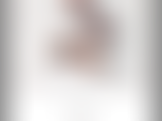 企業と学生のコラボから生まれた「Ya+suken」（ヤツケン）2/11～2/14祇園本店限定販売！