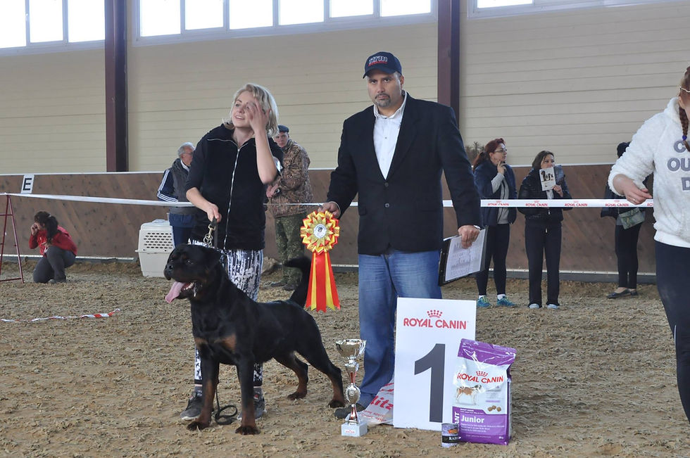 OKSI DOG Grand Cardinal - JUNIOR C