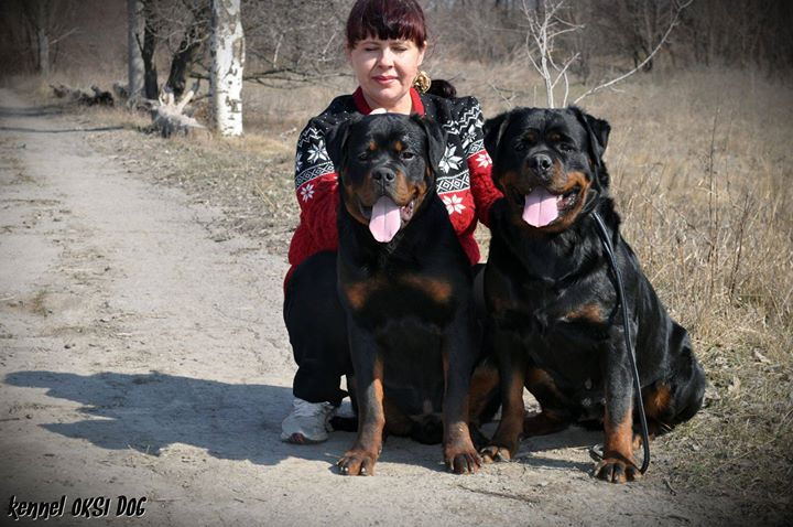 I and my dogs! _ASTOR for OKSI DOG FROM HAUS NATTIM ( 7 months)_AMAZONKA SHOW IZ DOMA TORRA