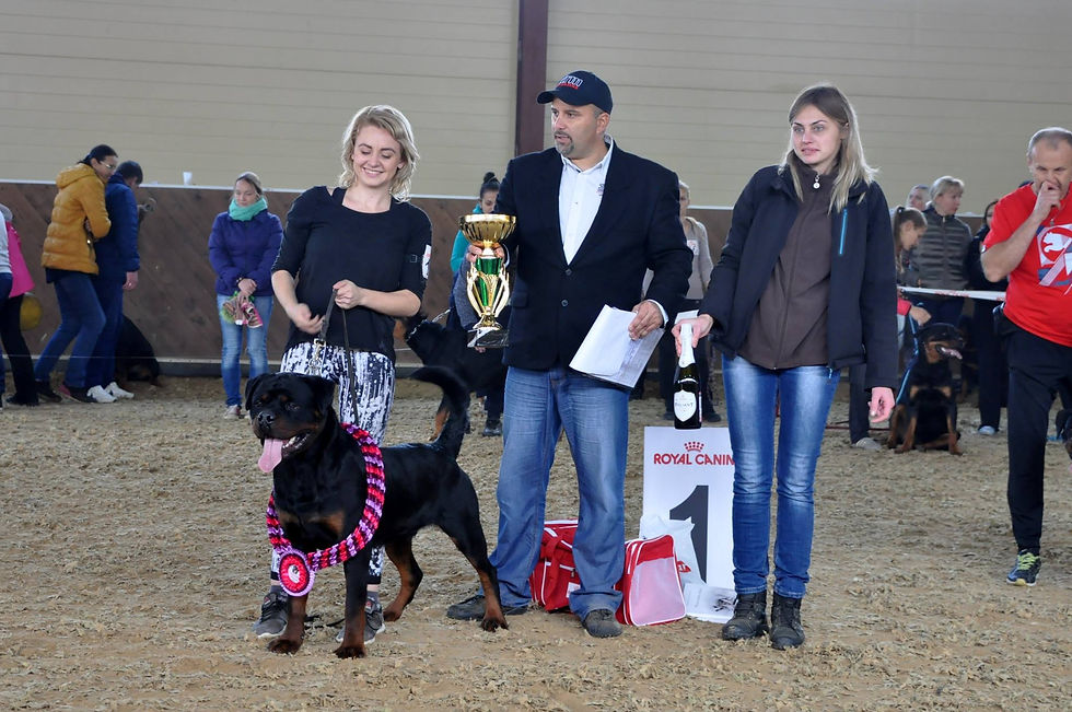 OKSI DOG Grand Cardinal - JUNIOR C