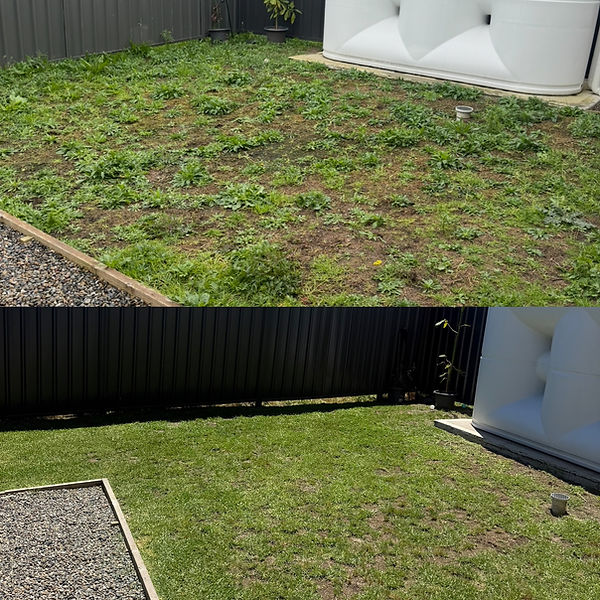 Photo 30-12-2025, 4 11 26 pm (1).jpg