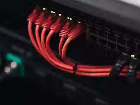 Red ethernet cables connected to a network switch.