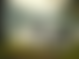 Explore Kottayam's Best Bicycles and E-Scooters