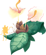 Flor tropical