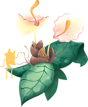 Tropical Flower