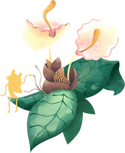 Tropical Flower