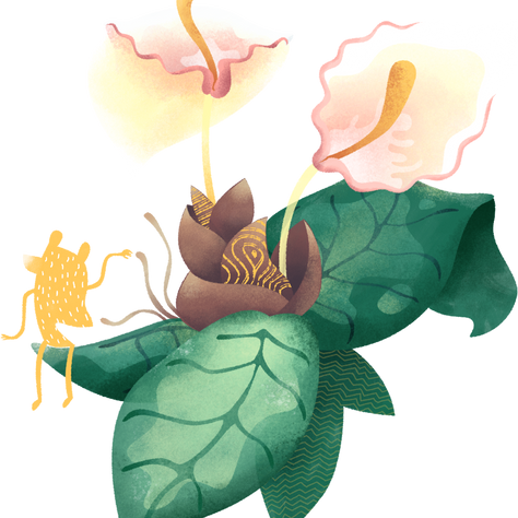 A New Star in a Familiar Galaxy.