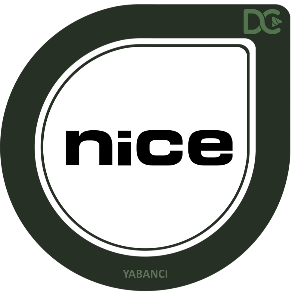 Nice DE
