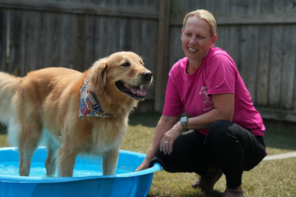 CCC Dog in pool 2.JPG