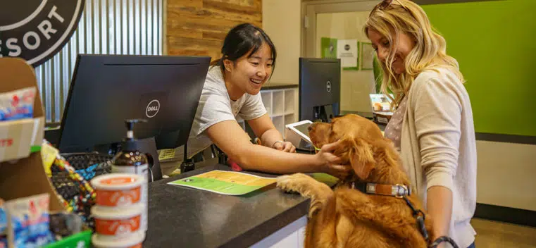 Front desk.webp