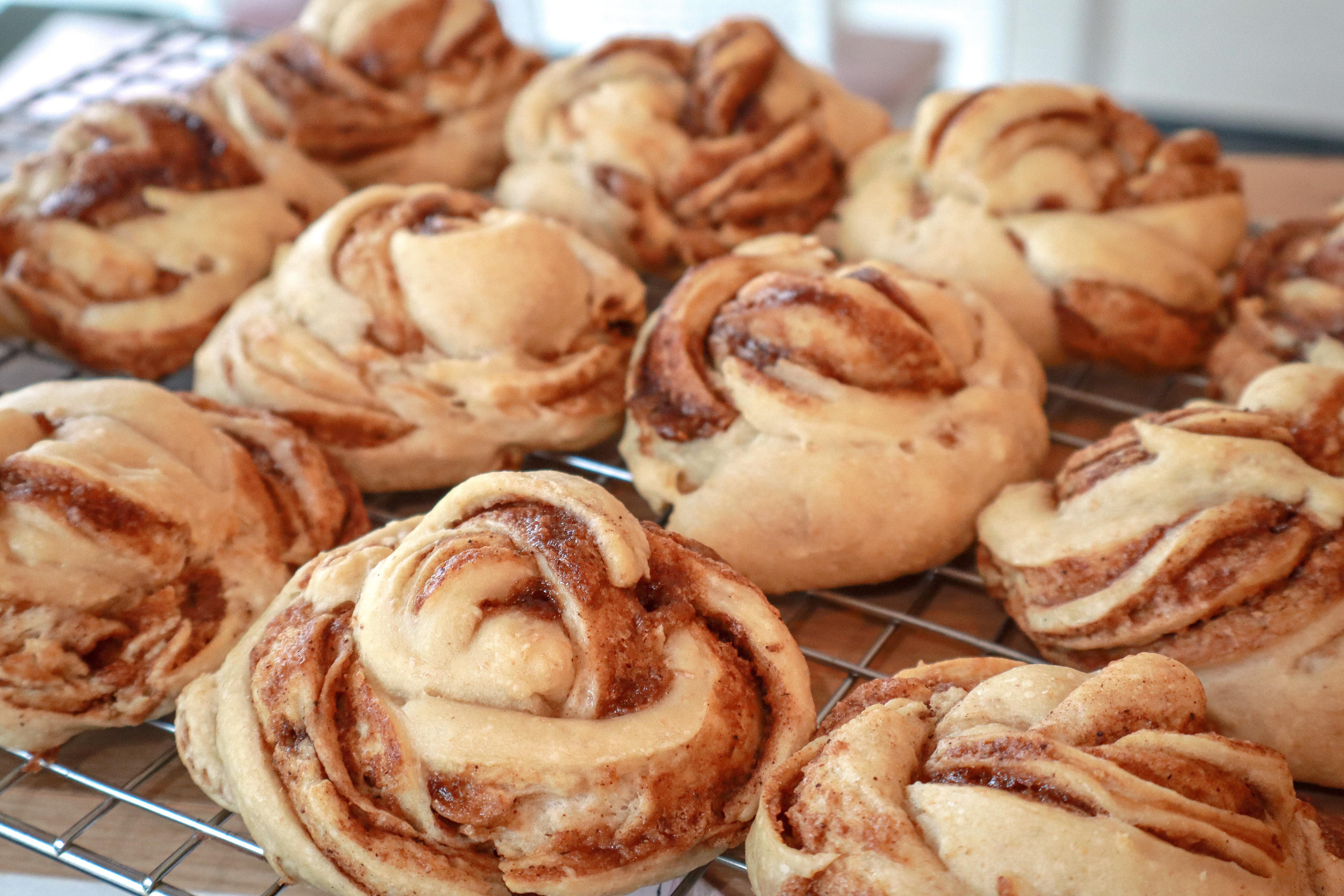 Homemade Sourdough Cinnamon Rolls