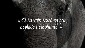Le déplacement du Négatif ?