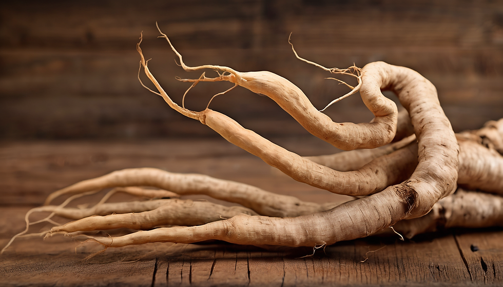 Interactive Ginseng Workshop