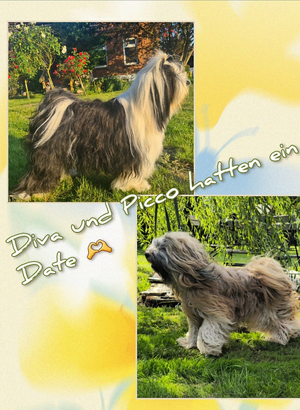 Screenshot_20250805_234524_Collage Maker - GridArt.jpg