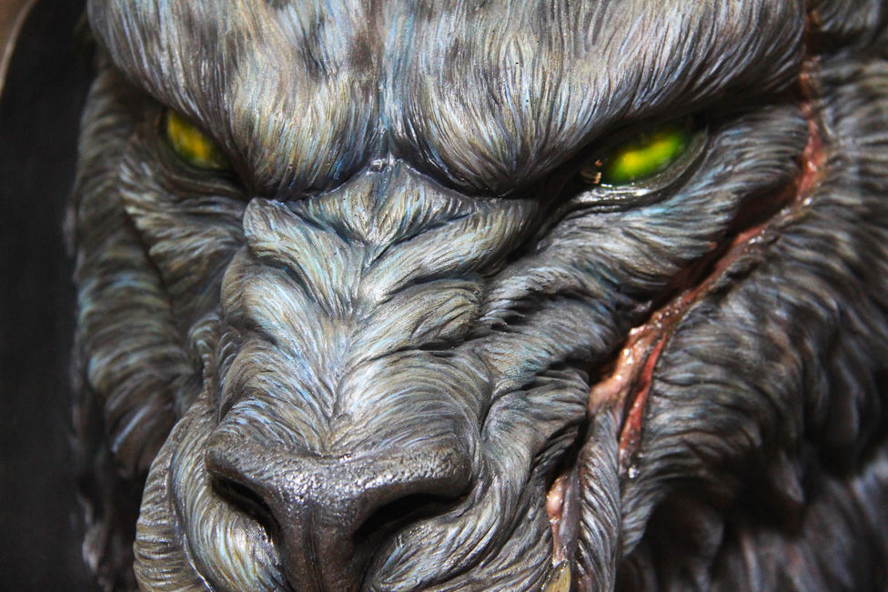 Close up 1