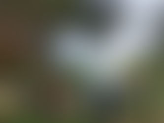 Malaysia to boost durian tourism, farmers urged to invest in agro-tourism