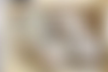种植业者期待中方亮绿灯 · 争取机会推介大马榴梿