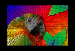 arara triangulos AR01