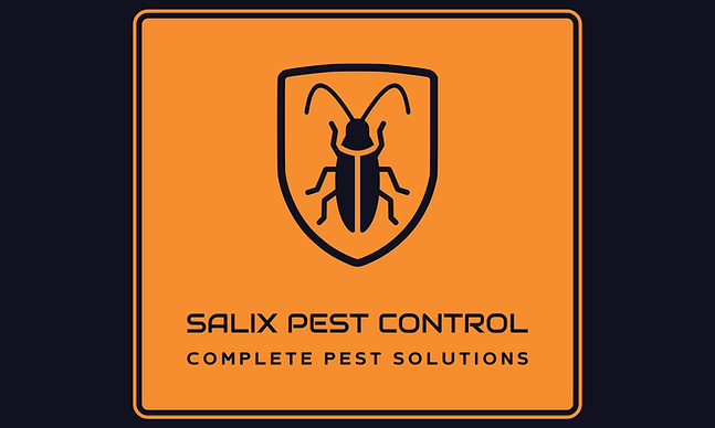 logo_basic (6).png