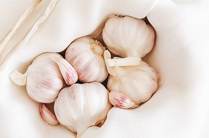 Garlic