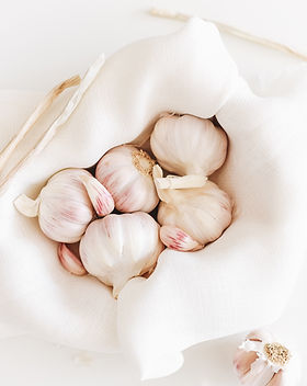 Garlic