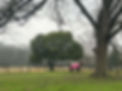 488618463_687449217115045_2035281879055410731_n.jpg