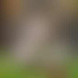 Environmental Literacy: Teaching Children About Sustainability