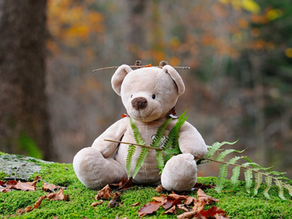 Environmental Literacy: Teaching Children About Sustainability