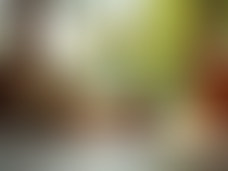 Essential Health Tips for Keeping Your Cats and Dogs Happy in Mombasa