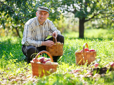 Man in field