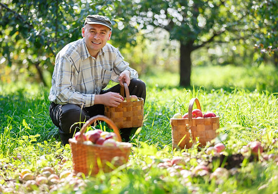 Man Gardening